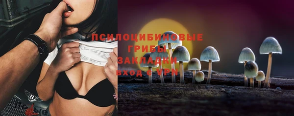 apvp Арсеньев