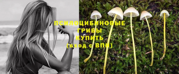 бутират Аркадак