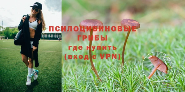 apvp Арсеньев