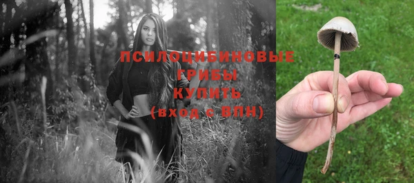 apvp Арсеньев