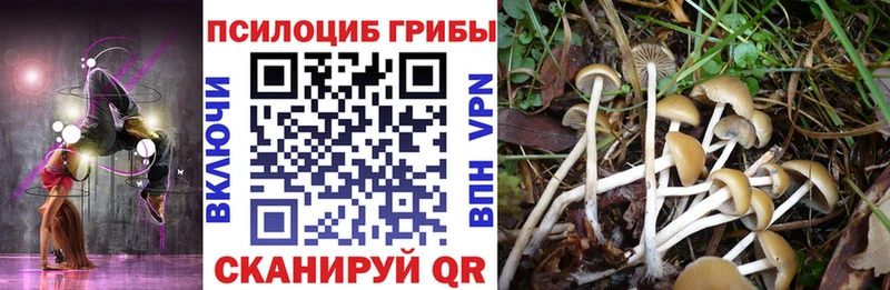 Псилоцибиновые грибы MAGIC MUSHROOMS  Всеволожск 